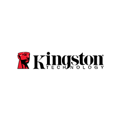 Kingston Data Recovery in Doha Qatar