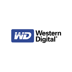 Western Digital Data Recovery in Doha Qatar